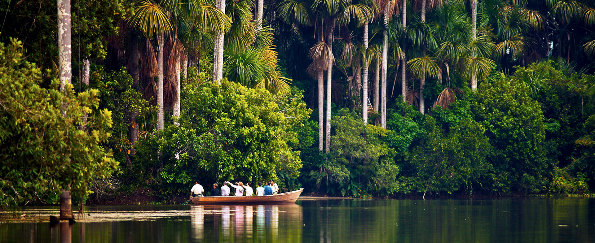 Selva de Perú